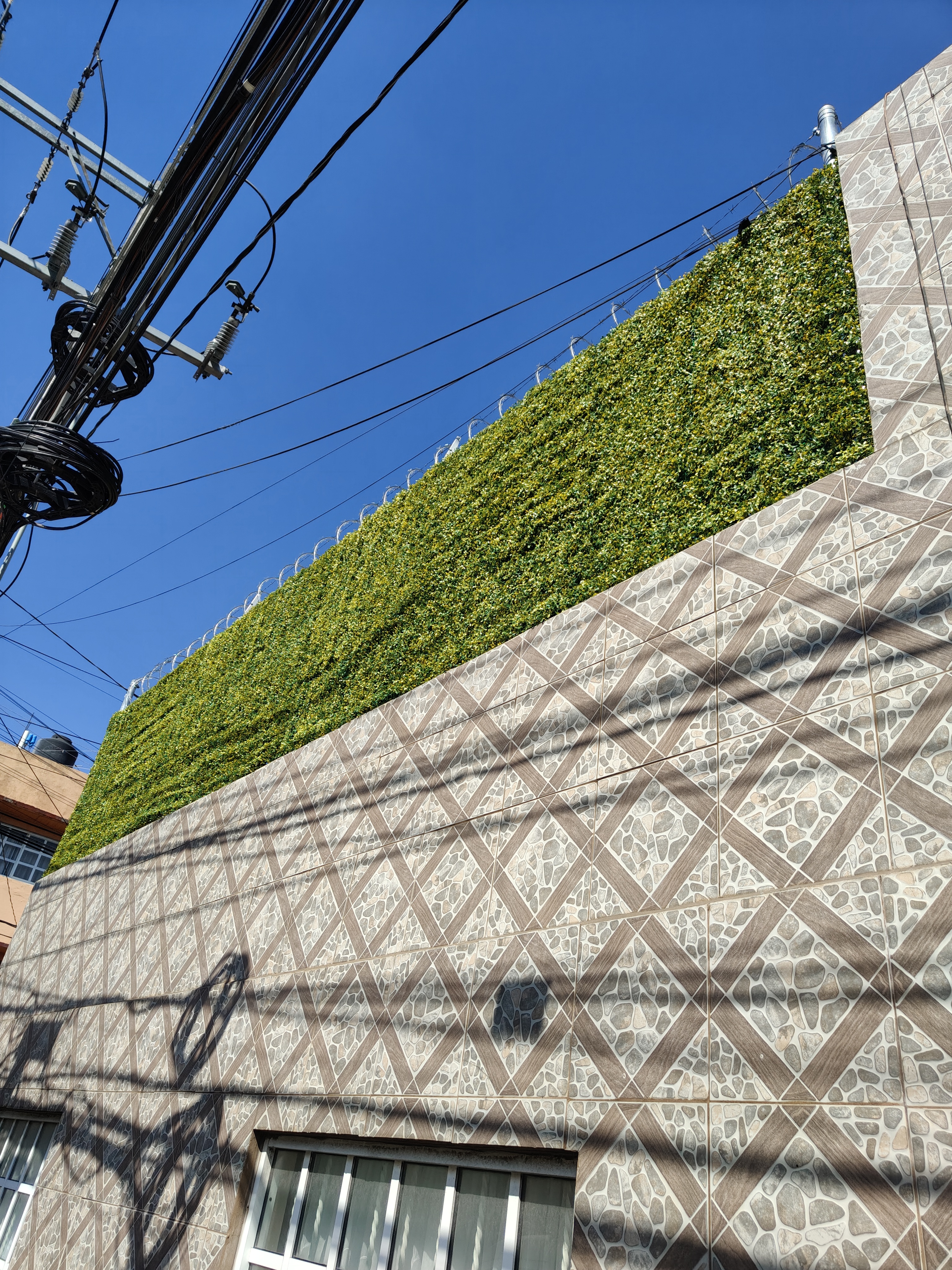 Instalación de malla concertina con follajes en perímetro residencial